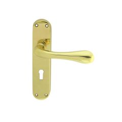 Manital Astro Lever on Backplate - Polished Brass Lock Profile