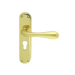 Manital Astro Lever on Backplate - Polished Brass Euro Profile