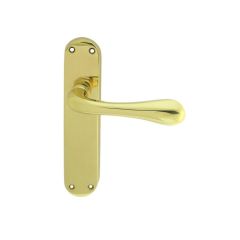 Manital Astro Lever on Backplate - Polished Brass Latch