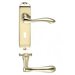 Zoo Project Arundel Lever on Backplate - Polished Brass Lock Profile