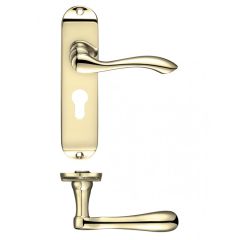 Zoo Project Arundel Lever on Backplate - Polished Brass Euro Profile