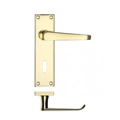 Zoo Project Victorian Lever on Flat Backplate - Polished Brass Lock Profile